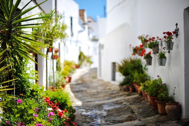 *Private Day Trip* Gibraltar and Vejer from Cádiz - Image 4