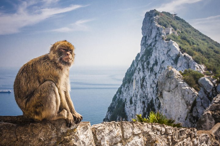 *Private Day Trip* Gibraltar and Vejer from Cádiz - Image 1