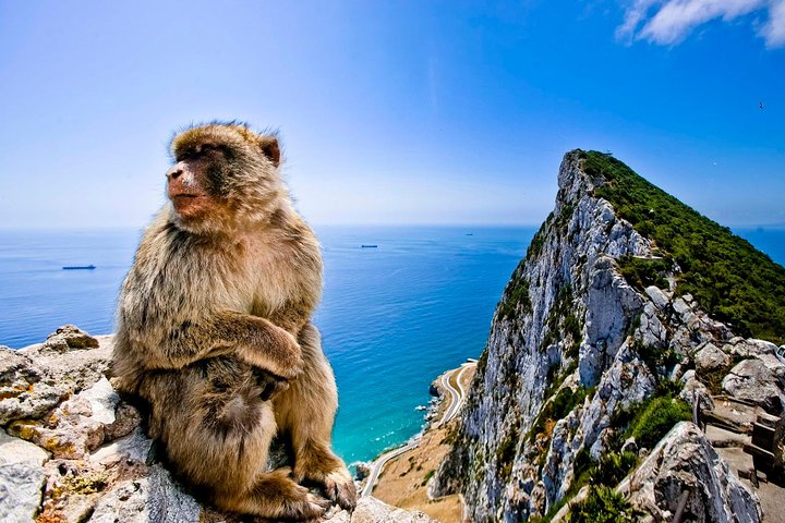 *Private Day Trip* Gibraltar & Bolonia from Cádiz - Image 1