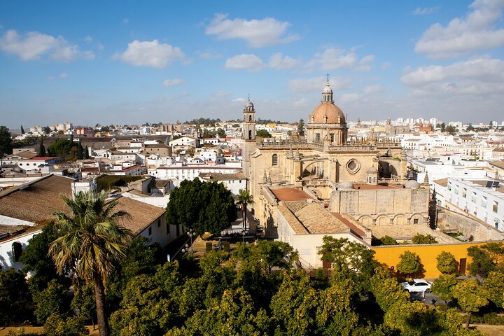 Private excursion to Jerez de la Frontera with Equestrian Show from Cadiz - Image 2