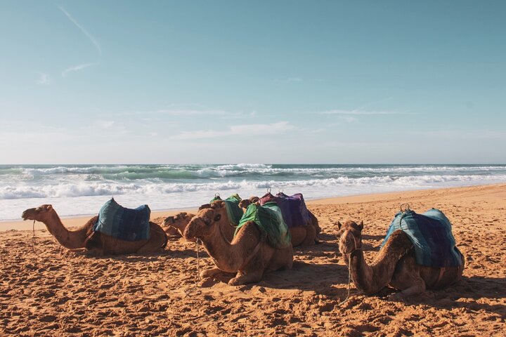 Private Tour from Cadiz to Tangier & Asilah with Pick Up and Drop Off - Image 1