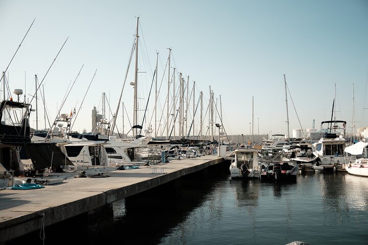Private Tour with Dolphin Watching in Algeciras Bay - Image 4