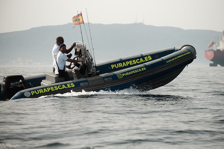 Private Tour with Dolphin Watching in Algeciras Bay - Image 3