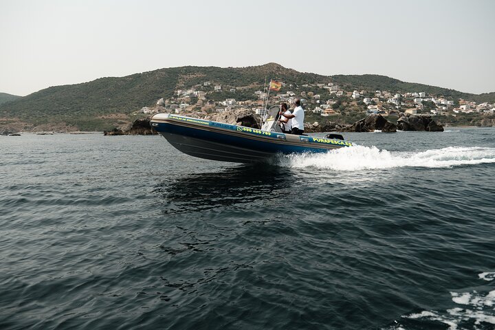 Private Tour with Dolphin Watching in Algeciras Bay - Image 5