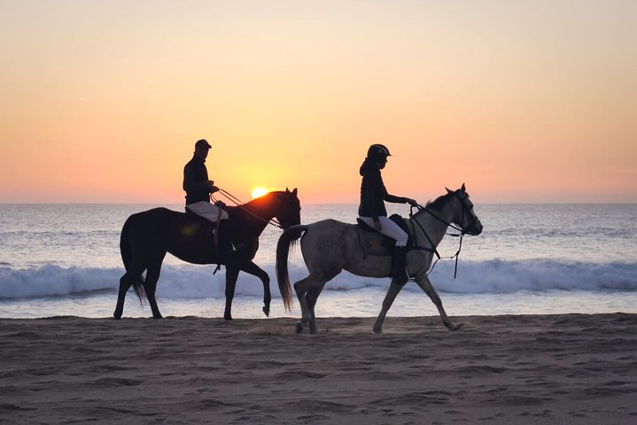 Stunning Sundown Beach Ride ... on horseback! - Image 5