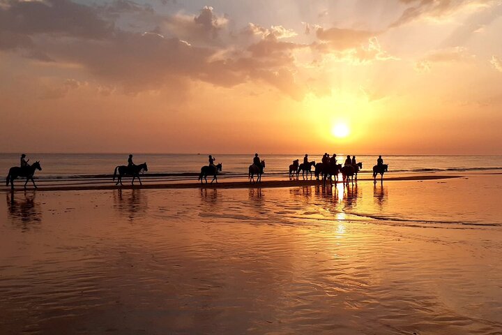 Stunning Sundown Beach Ride ... on horseback! - Image 1
