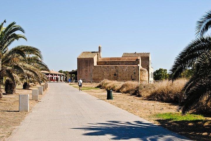 Archaeological tour of Nora - Image 5