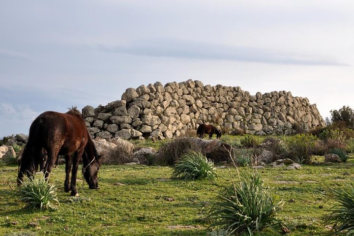 Barumini Unesco Site and Giara of Gesturi Tour from Cagliari - Image 2