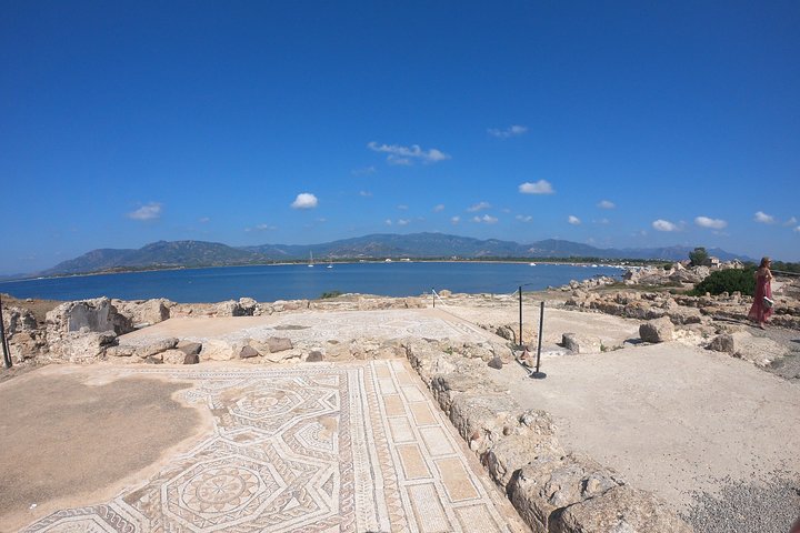 Private Half-Day Trip from Cagliari to Nora Ruins - Image 4
