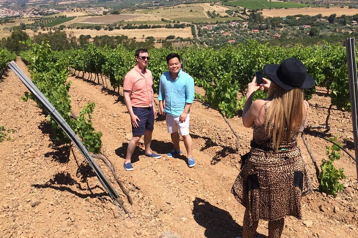 Small-Group Food and Wine Tour from Cagliari - Image 5