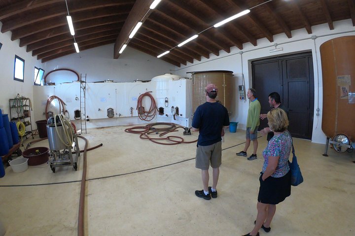 Small-Group Food and Wine Tour from Cagliari - Image 2