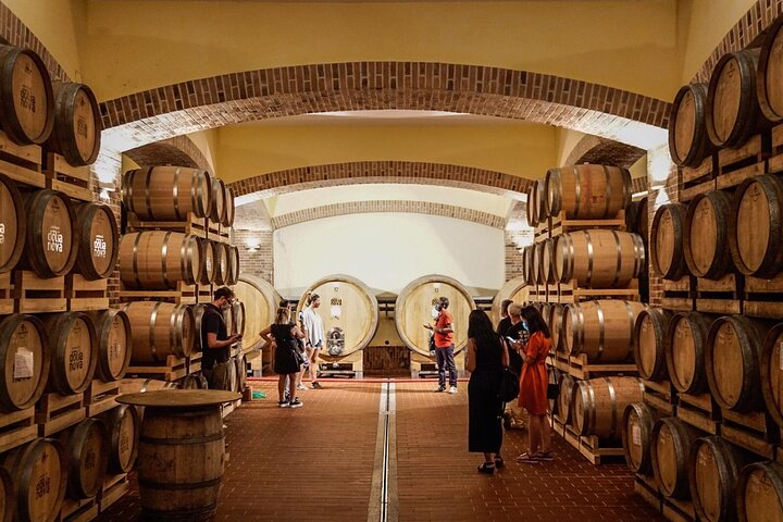 WINE TOUR with sommelier in a winery near Cagliari - Image 4