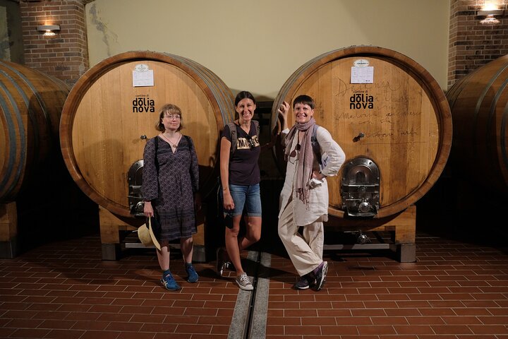 WINE TOUR with sommelier in a winery near Cagliari - Image 1
