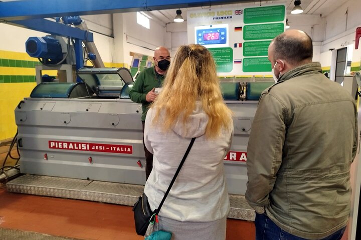 Winery And Oil Mill Tasting Tour - Image 4