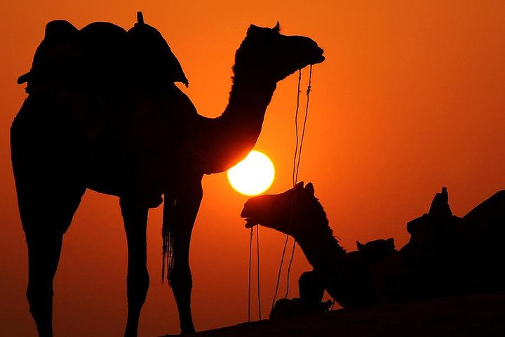 10 Day Casablanca Marrakech Aitben haddou ,Merzouga,Fes,Chfchaouen,Asilah,Rabat - Image 3
