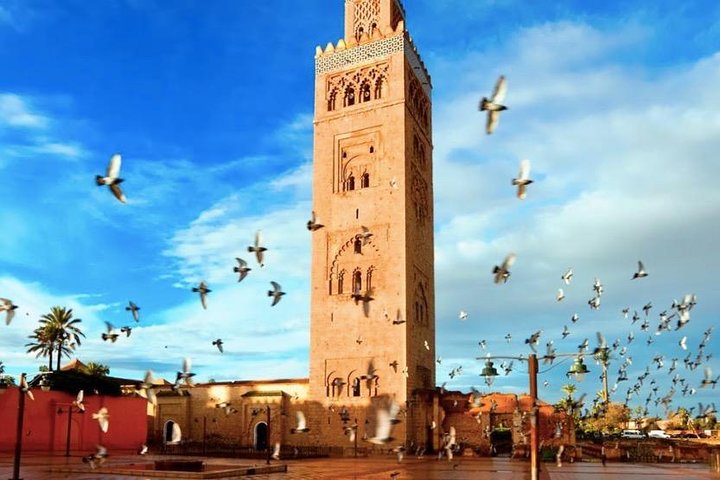 11 Days Morocco Epic Private Tour - Casablanca to Marrakesh via Chaouen & Desert - Image 3