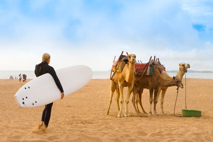 11 Days Private Summer Tour From Casablanca by Coastal Cities - Image 4