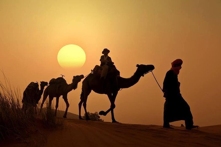 11 days tour from casablanca to the desert  - Image 5