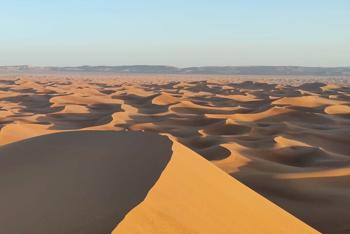 12-Day Private Moroccan Cities and Deserts Tour - Image 1