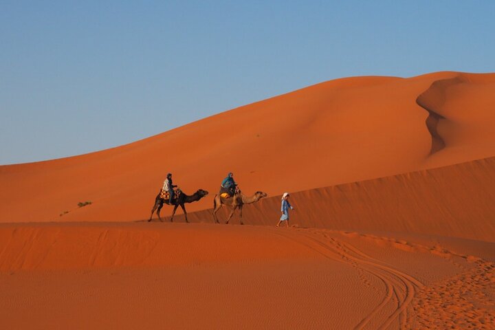 12 Days best highlights of Morocco - Image 5