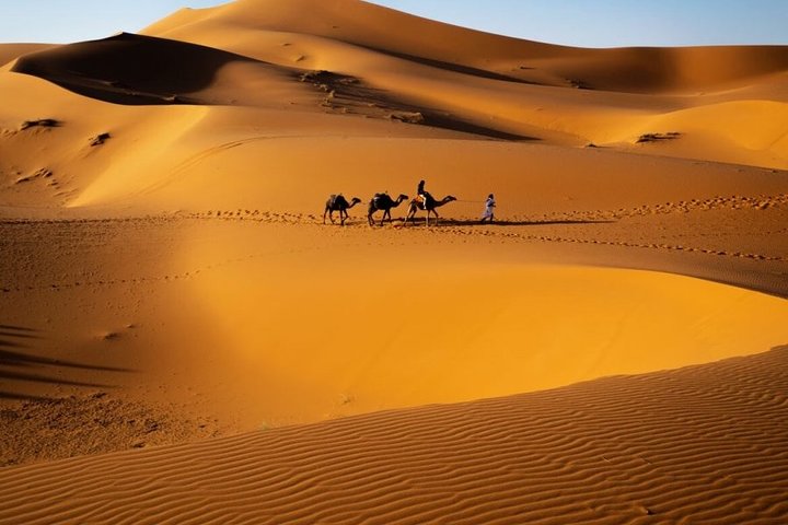 5 Day Tour to Sahara Desert From Casablanca - Image 3