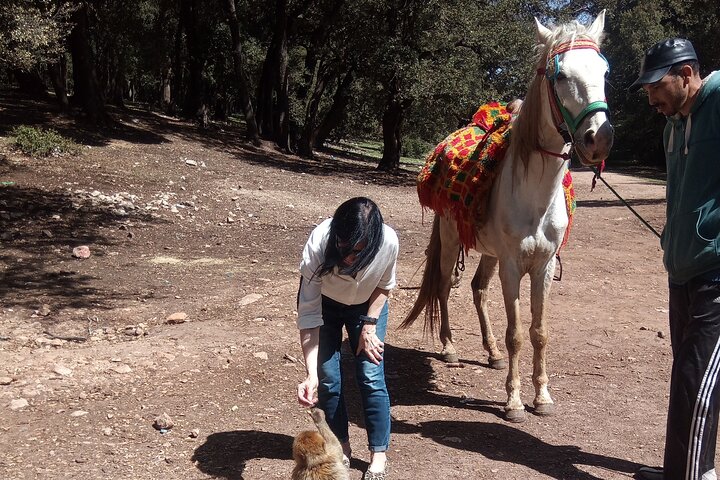 5 Days Private Tour from Casablanca to Fes and Sahara Desert - Image 5