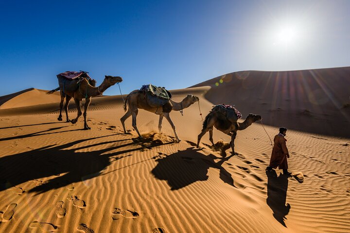 Big Morocco Tour 15 Days From Casablanca - Image 2