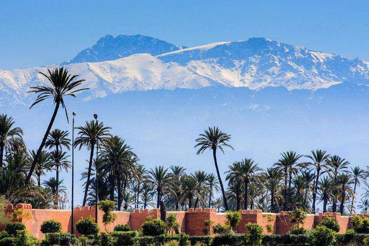 Casablanca to Marrakech Day Trip with Camel Ride - Image 2
