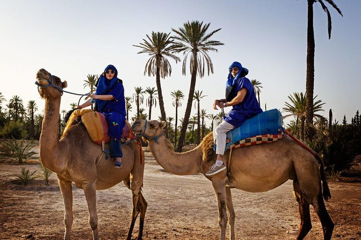 Casablanca to Marrakech Day Trip with Camel Ride - Image 3