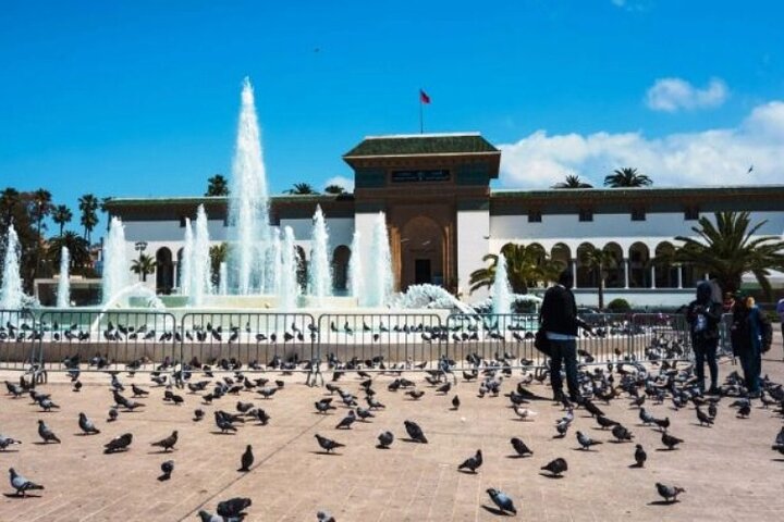 Casablanca tour guide professional, Explore the Soul of Casablanca - Image 5