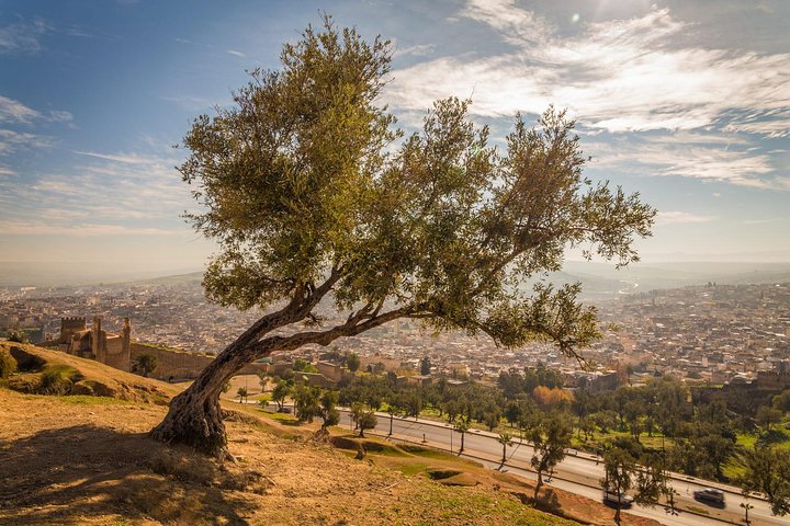 Day tour to FES from CASABLANCA - Image 4
