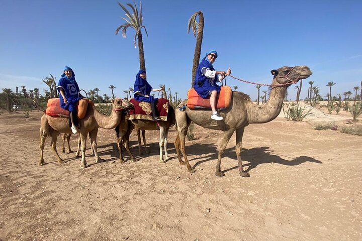 Day trip to Marrakech city from Casablanca - Image 1
