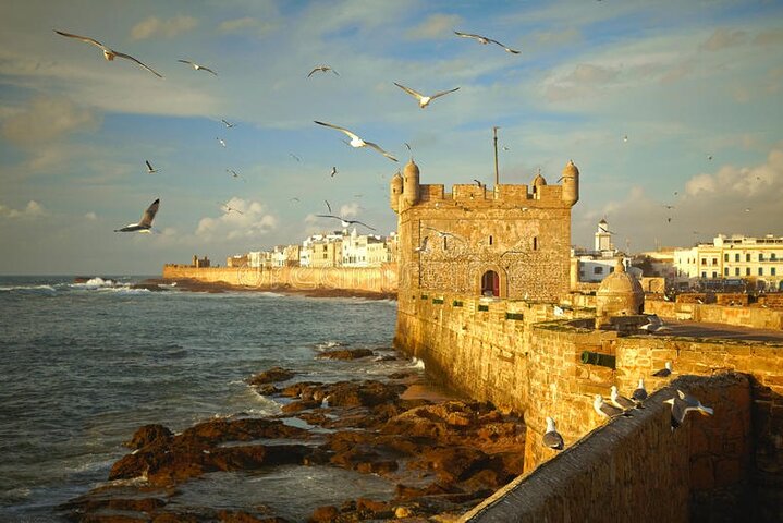 Essaouira Private Full Day Trip from Casablanca - Image 5