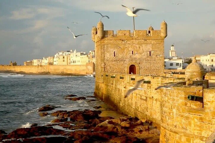 Essaouira Private Full Day Trip from Casablanca - Image 4
