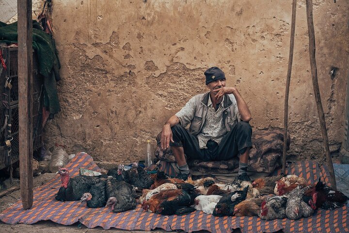 From Casablanca 8 days tour of the royal cities of Morocco .. - Image 3