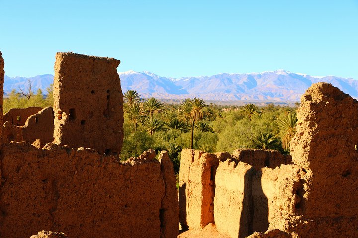 From Casablanca: Private 11 Days-Tour to the Atlas Mountains & the Sahara Desert - Image 4