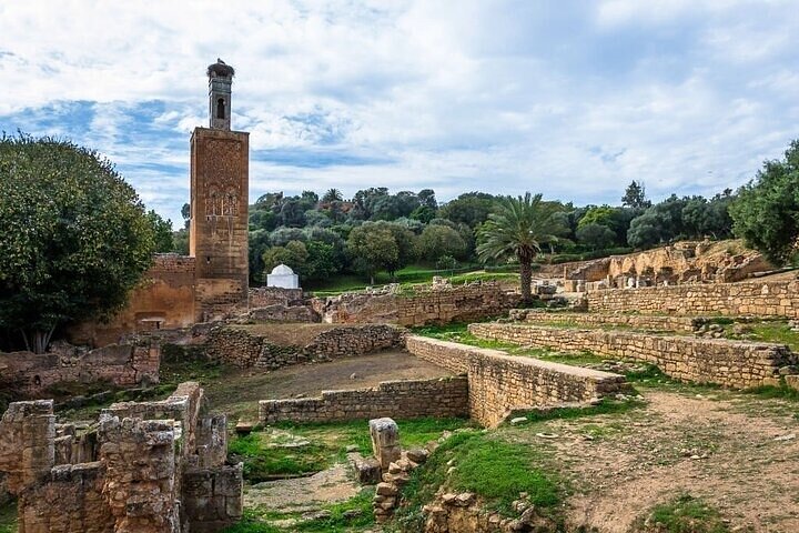 Full-Day Casablanca and Rabat Private Guided Tour - Image 3