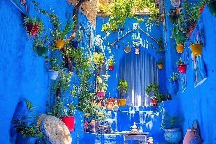 Full-Day Trip To Chefchaouen the Blue City from Casablanca. - Image 3