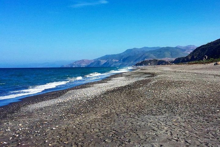 Full Day Trip to the Mediterranean beach - Image 3