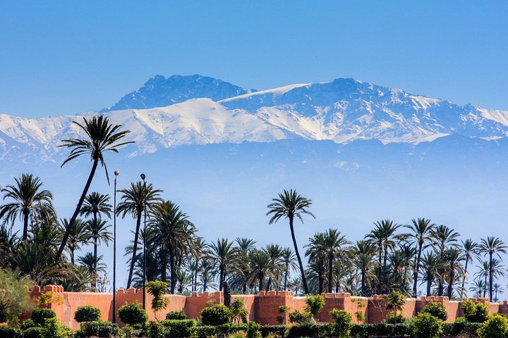 Honeymoon Getaway - Laid-Back Desert Trip - Image 2