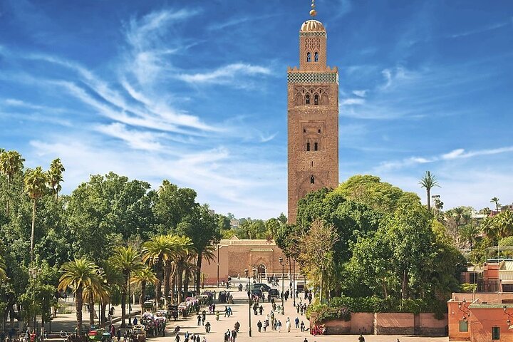 Marrakech Day Trip including Lunch, Camel Ride from Casablanca - Image 4