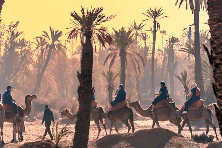 Marrakech Guided Tour From Casablanca With Camel Ride - Image 2