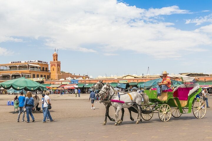 Marrakech Private Day-Trip Including Lunch Camel Ride from Casablanca - Image 2