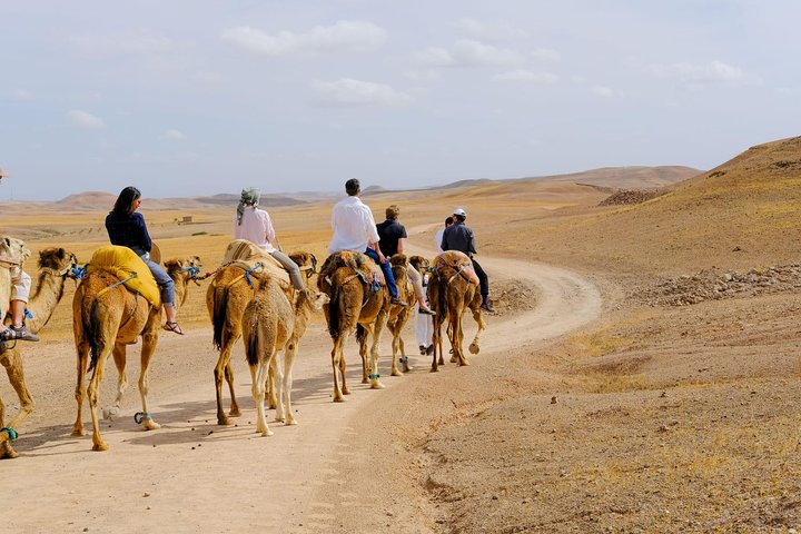 Marrakesh Day Trip From Casablanca With Camel Ride And Lunch At Agafay Desert - Image 1