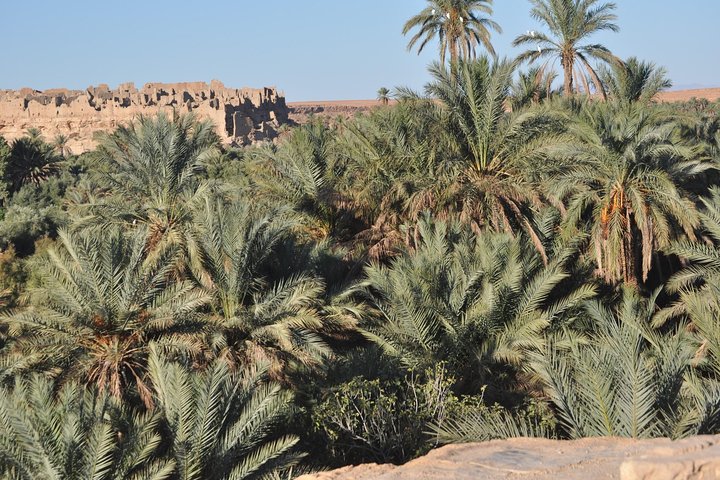 Morocco Natural Landscapes Diversity Tour - Image 4