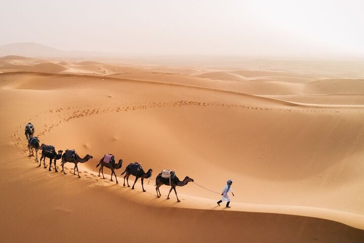 Morocco Sahara Desert Tour From Casablanca and Camel Ride To Camp - Image 1