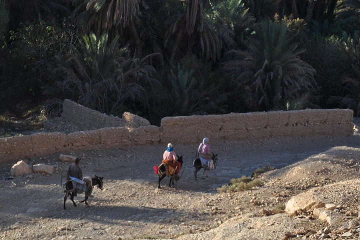 Morocco Trekking Tour for Women - Atlas Mountains hiking tour for women - Image 4