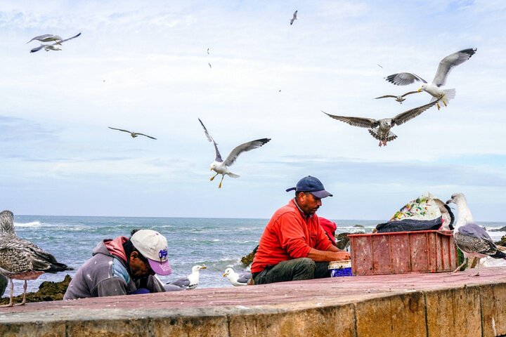 Private 2-Day Guided Tour from Casablanca to Essaouira  - Image 5