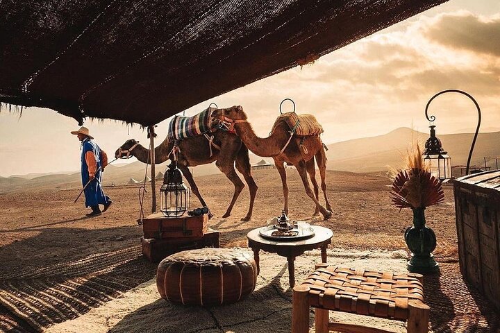 Private 2 Day Tour Casablanca to Marrakech with night in Desert - Image 1