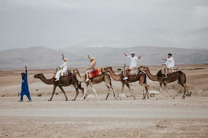 Private 2 Day Tour Casablanca to Marrakech with night in Desert - Image 2